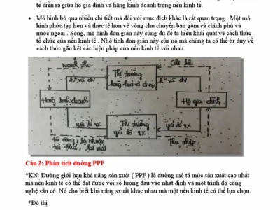 DWL là gì? Giải mã ý nghĩa và cách xử lý file DWL trong AutoCAD