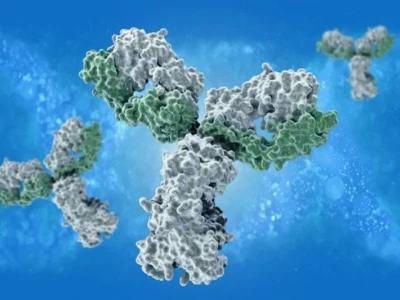 Epitope là gì? Khám phá vùng liên kết kháng nguyên trên kháng thể