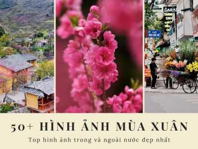 Hình Ảnh Thiên Nhiên Mùa Xuân Đẹp Nhất: Khoảnh Khắc Bừng Sức Sống 2026