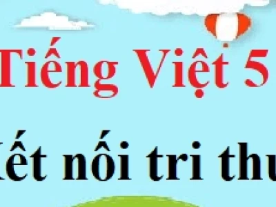 Khám phá 15 cảnh đẹp Việt Nam say đắm lòng người