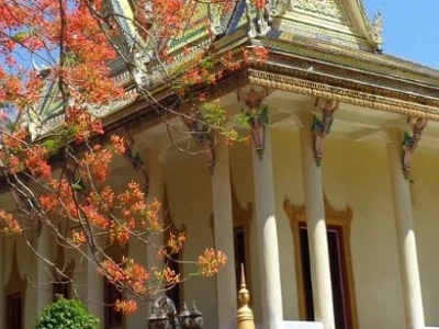 Khám phá 8 địa điểm du lịch Trà Vinh đẹp nao lòng