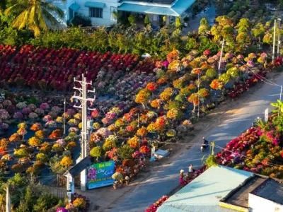 Khám phá cảnh đẹp Bến Tre: Trải nghiệm miền Tây sông nước thơ mộng