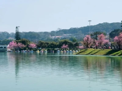 Khám phá cảnh đẹp Đà Lạt làm nền ghép ảnh độc đáo