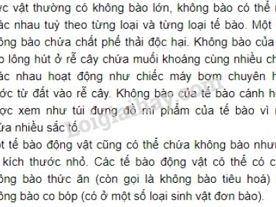Không bào là gì? Chức năng và vai trò trong tế bào thực vật
