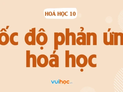 Ký hiệu và đơn vị của tốc độ phản ứng hóa học chuẩn xác