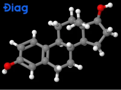 Lipid là gì? Tầm quan trọng và vai trò của lipid với sức khỏe