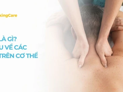 Lỗ Huyệt Là Gì? Khám Phá Toàn Diện Về Các Huyệt Đạo Trên Cơ Thể