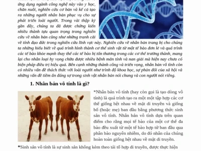 Nhân bản vô tính là gì: Khám phá quy trình và những điều cần biết