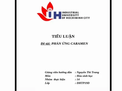 Phản ứng caramel là gì và những điều cần biết