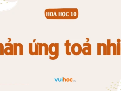 Phản ứng thu nhiệt là gì? Các đặc điểm và ví dụ minh họa chi tiết