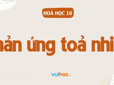 Phản ứng tỏa nhiệt là gì? Giải thích chi tiết và ví dụ minh họa