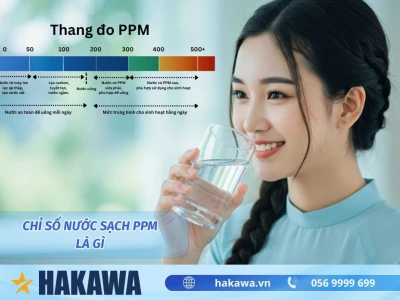 PPM là gì? Hướng dẫn cách dùng và quy đổi chi tiết