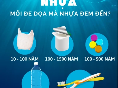 Rác Thải Nhựa Là Gì? Hiểu Rõ Vấn Đề Và Giải Pháp Toàn Diện Năm 2026