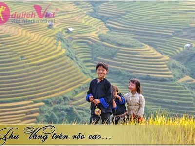 Rực Rỡ Sắc Thu Việt Nam: Khám Phá Cảnh Đẹp Mùa Thu Say Đắm Lòng Người