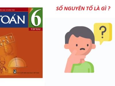 Số nguyên tố kí hiệu là gì và những điều cần biết