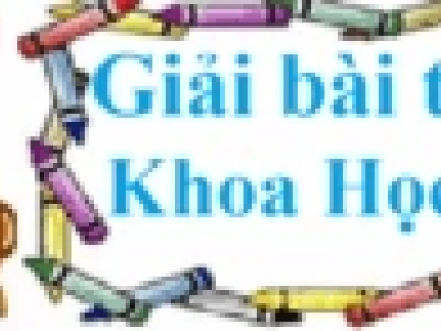 Tại sao lại có gió những nguyên nhân cơ bản và các loại gió chính