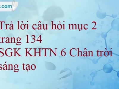 Tại sao nói rừng là lá phổi xanh của Trái Đất