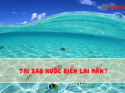 Tại sao nước biển lại mặn và những yếu tố ảnh hưởng