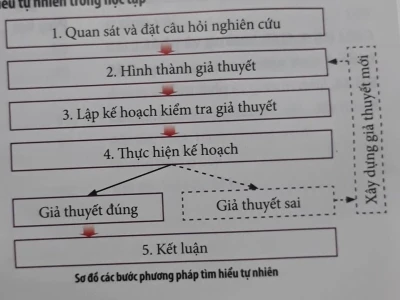 Tại sao trời lại mưa? Giải mã hiện tượng tự nhiên kỳ thú