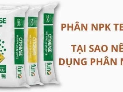 Te là nguyên tố gì? Vai trò và ứng dụng trong nông nghiệp