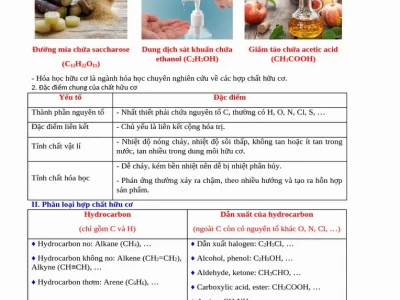 Thành Phần Các Nguyên Tố Trong Hợp Chất Hữu Cơ: Cấu Tạo và Vai Trò