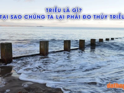 Thủy triều là gì? Giải mã hiện tượng tự nhiên kỳ thú