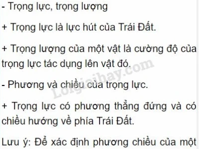 Trọng lực là gì? Khám phá bản chất và các yếu tố liên quan