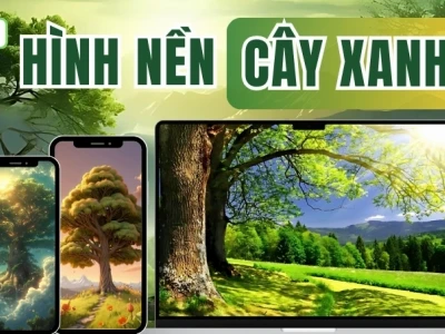 Tuyển chọn hình ảnh cây xanh đẹp nhất truyền cảm hứng cho không gian sống 2026
