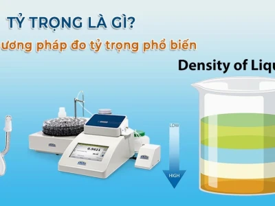 Tỷ trọng là gì? Giải mã ý nghĩa và cách tính trong kinh tế