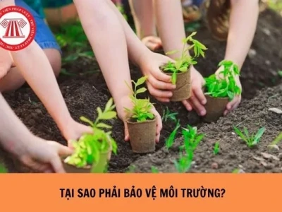 Vì sao phải bảo vệ môi trường và những hành động thiết thực