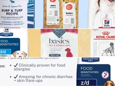 Best hypoallergenic dog food for sensitive pups in 2026