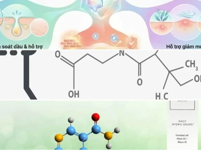 Cơ chế Hoạt động của Niacinamide trong Chăm sóc Da Chuyên sâu