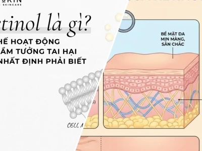 Cơ Chế Hoạt Động Của Retinol Trong Mỹ Phẩm