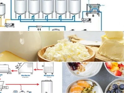 Cơ chế Lên Men Sữa Chua Hiểu Sâu Vào Quy Trình Sinh Học