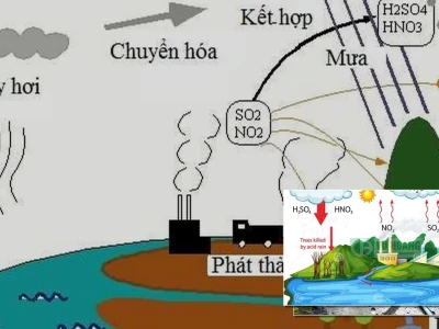 Mưa Axit Hình Thành Và Tác Hại Với Môi Trường