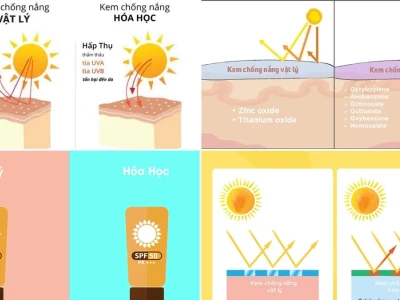 Phân biệt Kem Chống Nắng Vật Lý và Hóa Học: Thành Phần và Công Dụng