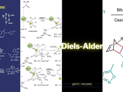 Phản ứng Diels-Alder Nền Tảng Tổng Hợp Hữu Cơ Hiện Đại