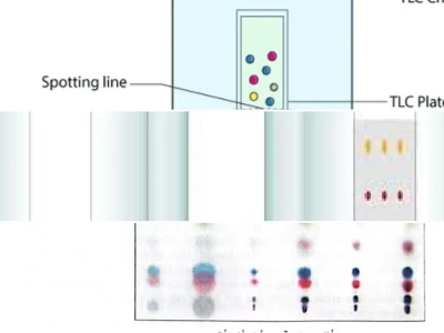 Sắc ký lớp mỏng TLC là gì và ứng dụng kiểm tra độ tinh khiết