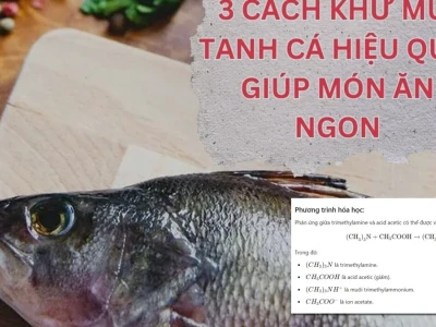 Vì sao dùng giấm khử mùi tanh của cá Giải thích hóa học