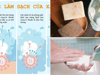 Vì Sao Xà Phòng Làm Sạch Dầu Mỡ Hiệu Quả Hơn Nước
