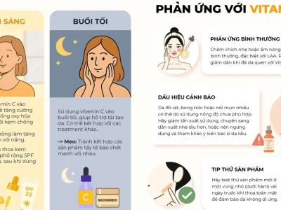 Vitamin C Dạng Nào Dễ Hấp Thu Và Cơ Chế Hoạt Động Mỹ Phẩm