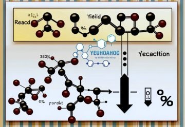 Hiệu suất phản ứng: Khái niệm, ý nghĩa và cách tính