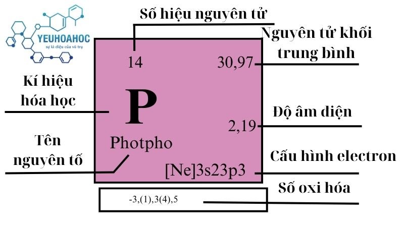 Nguyên tố Phosphor