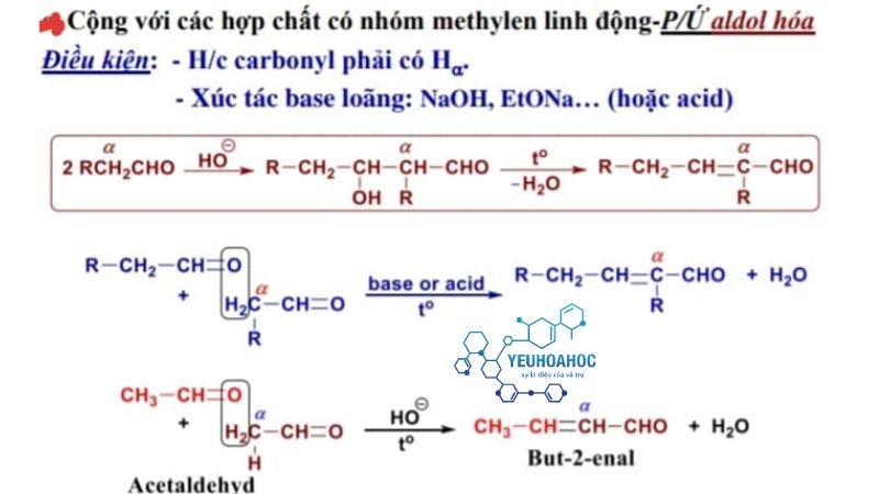 Phản ứng aldol hóa