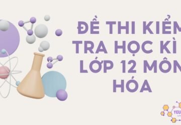 Đề thi kiểm tra học kì 2 môn Hóa lớp 12 có lời giải chi tiết