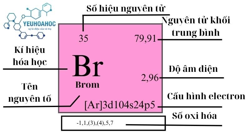 Nguyên Tố Br: Tính Chất, Ứng Dụng và Tác Động Đến Sức Khỏe