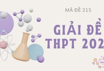 Giải chi tiết đề thi THPT Quốc gia 2022 môn Hóa –  Đề 215