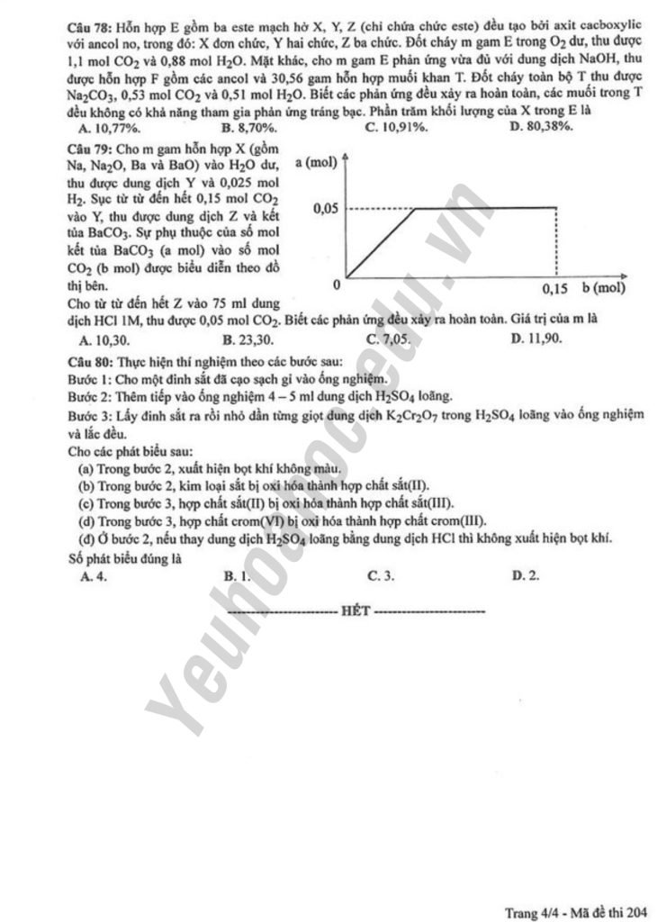 Giải chi tiết đề thi THPT Quốc gia 2023 - Mã đề 204