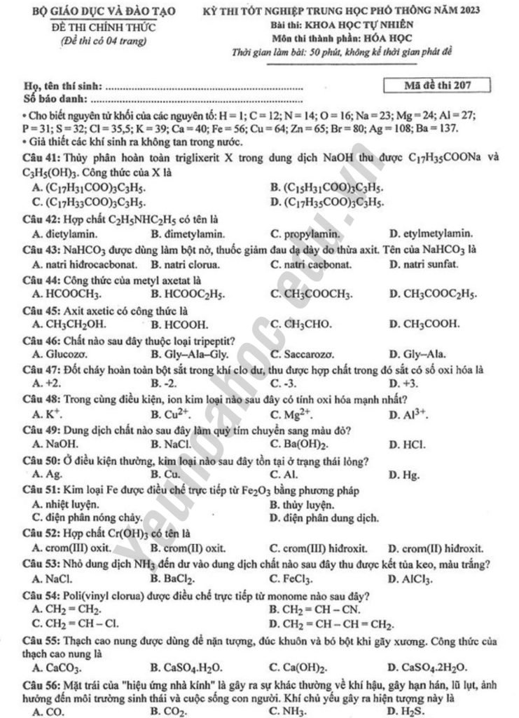 Giải chi tiết đề thi THPT Quốc gia 2023 mã đề 207