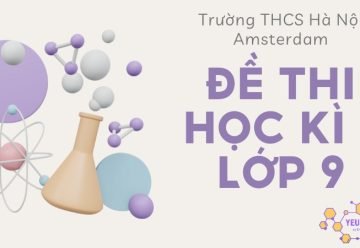 Đề thi học kỳ 1 lớp 9 môn Hóa học Trường THCS Hà Nội – Amsterdam